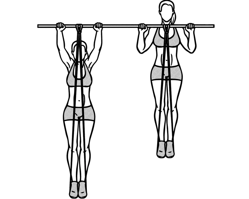 Exercices dos avec élastique de musculation